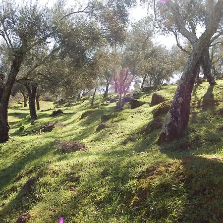Pozos De La Nieve