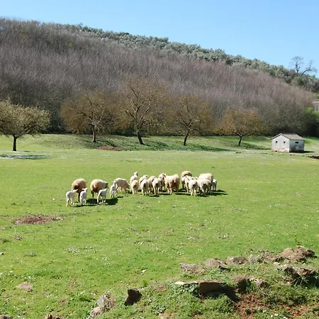 Pozos De La Nieve Constantina