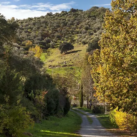 Pozos De La Nieve